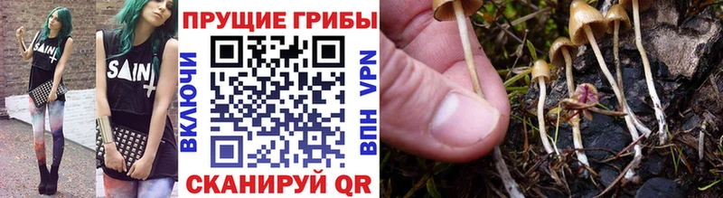shop наркотические препараты  Сафоново  Псилоцибиновые грибы ЛСД  закладки  blacksprut сайт 