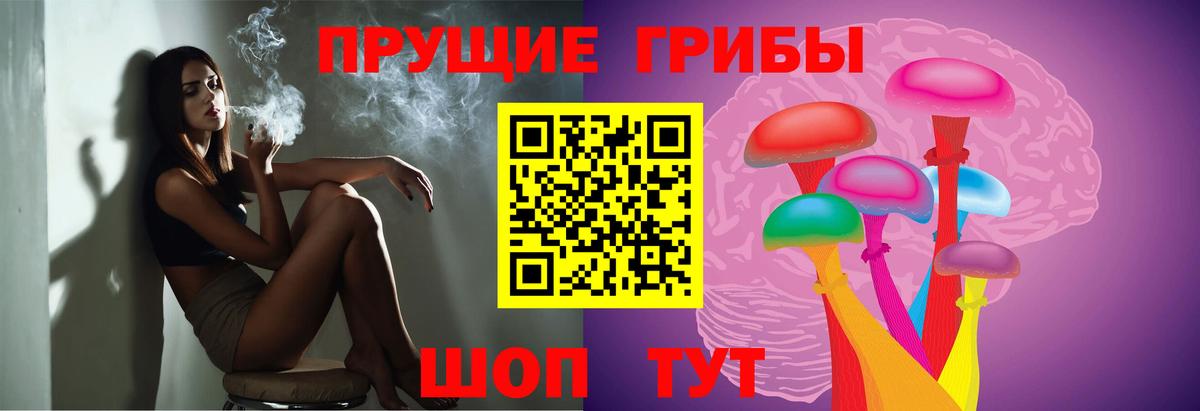 Псилоцибиновые грибы Psilocybe Сафоново
